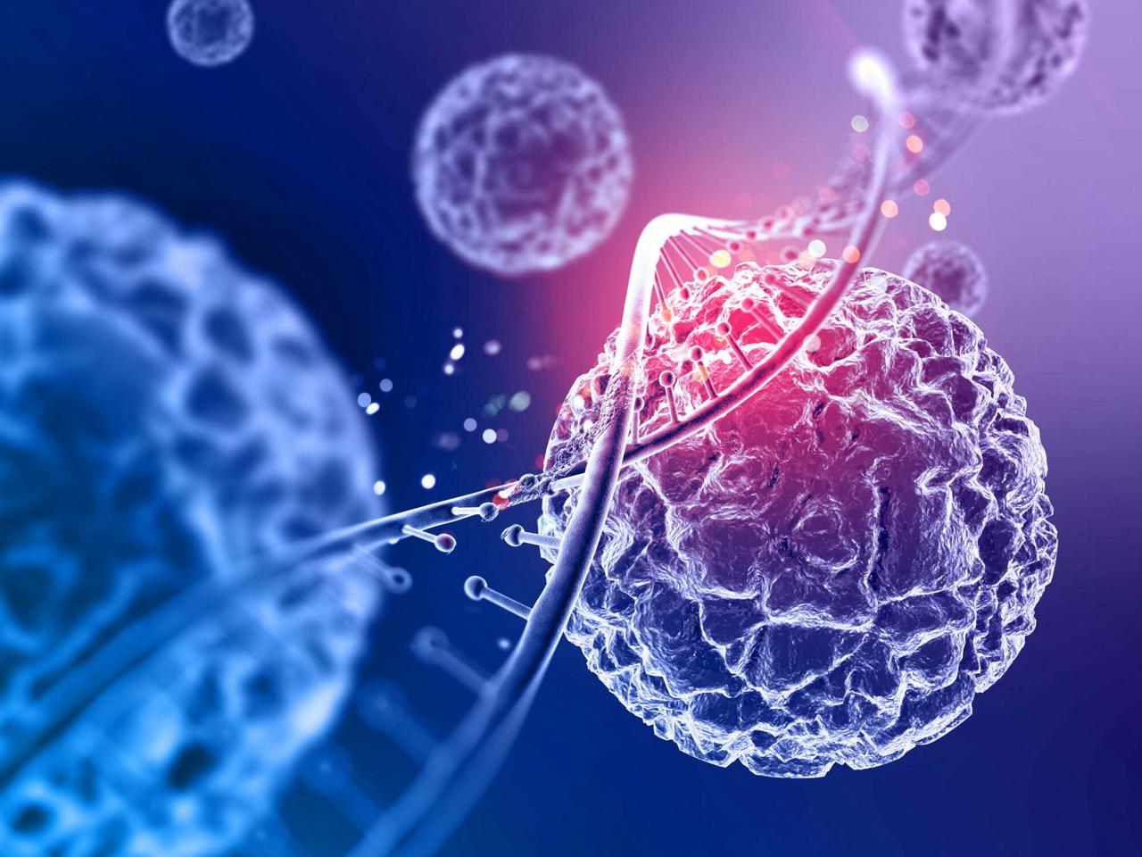 Microscopic view of oncology cells dividing.